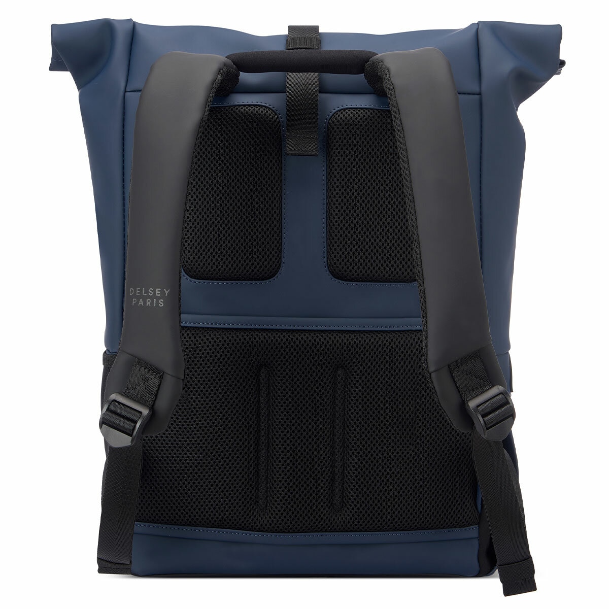 Delsey Turenne Rolltop Backpack