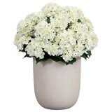 Nearly Natural Artificial Hydrangea Floor Plant