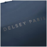 Delsey Turenne Rolltop Backpack