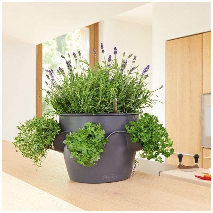 Lechuza Cascadino AllinOne Planter Slate Costco Australia