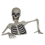 Giant Ground Breaking Skeleton