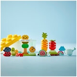 LEGO Duplo Organic Garden 10984
