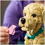 LEGO Icons Golden Retriever Puppy 11384
