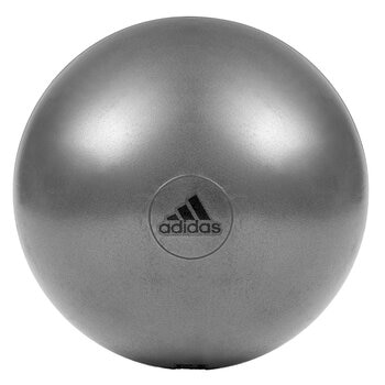 Adidas Gym Ball 65cm