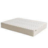 Koala Calm As Queen Mattress