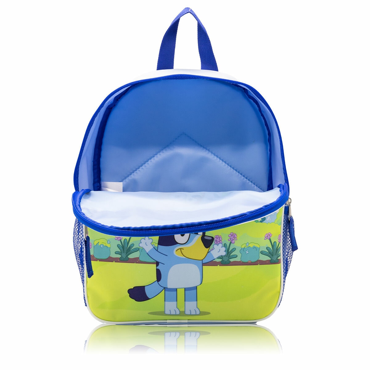 Licensed Luggage Set 2 Piece with Bonus Luggage Tag