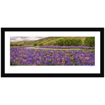 Ken Duncan Floral Canvas Framed Print 101.2 x 51.9cm