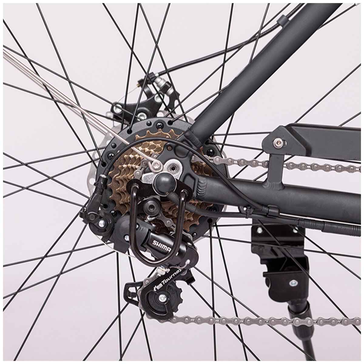 Monster City Road E-Bike