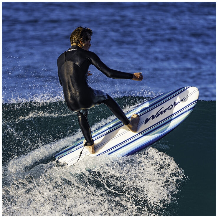 Wavestorm Modern Retro Fish Surfboard