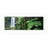 Ken Duncan 50 Millaa Millaa Falls, QLD Framed Print White