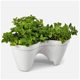 keter Ivy Planters White Green Set 3 Piece