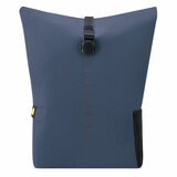Delsey Turenne Rolltop Backpack