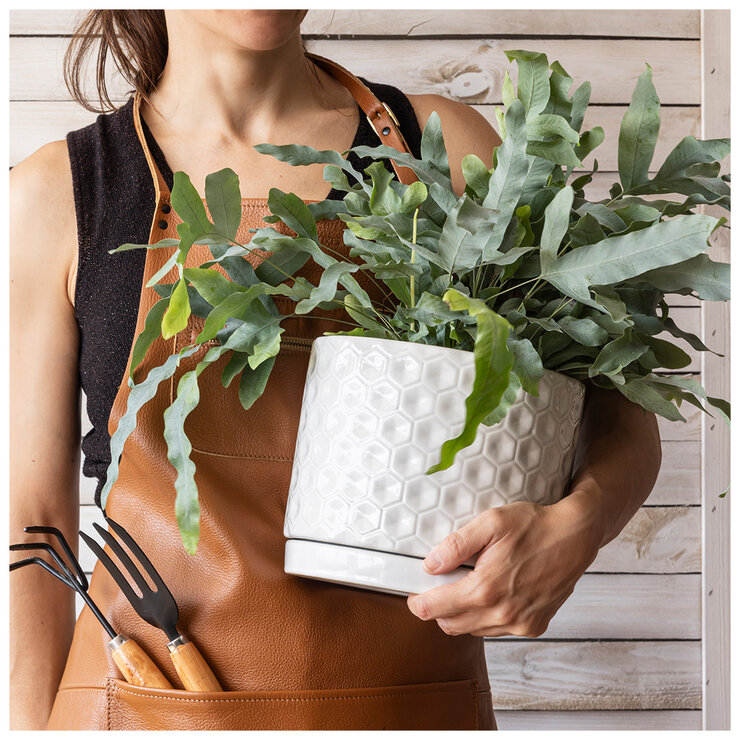 over&back Set Of 2 Honeycomb Ceramic Planters White Blue over&back Set Of 2 Honeycomb Ceramic Planters White Blue