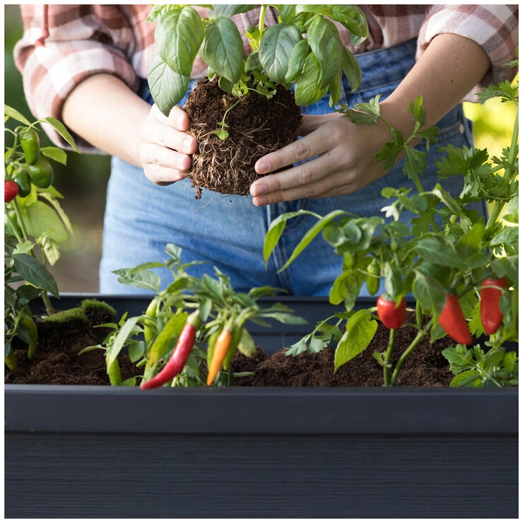 Keter Easy Grow Planter Black