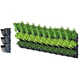 Vertical Garden L3F -30Pots (3x10)