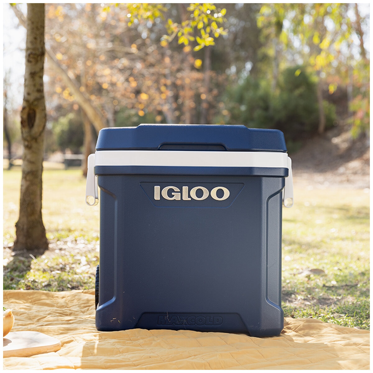 Igloo 62QT Maxcold