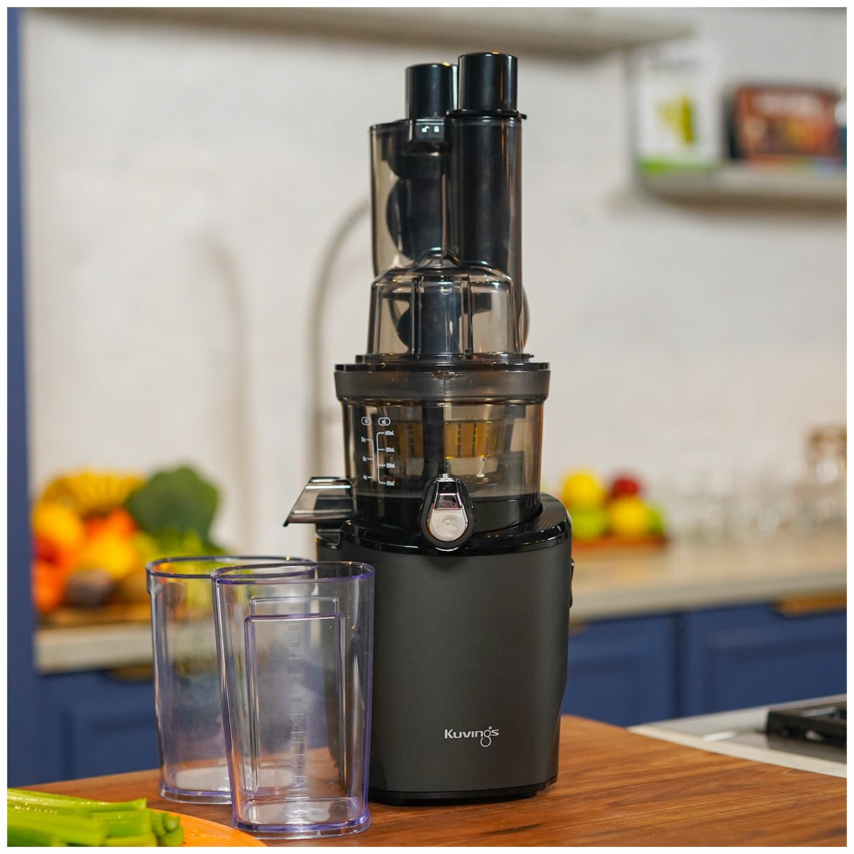 Kurvings Cold Press Juicer Revo830