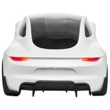 Hot Wheels Tesla Roadster RC 110 Racer White