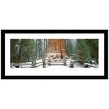 Ken Duncan Gen. Sherman Tree, Sequoia N.P Framed Print 127.6 x 60.9cm Ken Duncan Gen. Sherman Tree, Sequoia N.P Framed Print 127.6 x 60.9cm