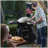 Weber Family Q3100 Titanium