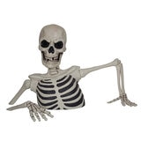 Giant Ground Breaking Skeleton