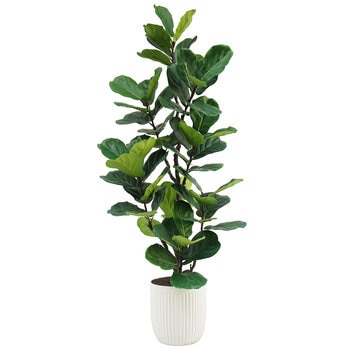 CGH Artificial Slim Fig Tree 2M