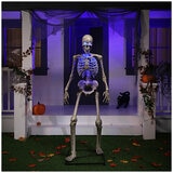 6FT Halloween Animated Skeleton Greeter
