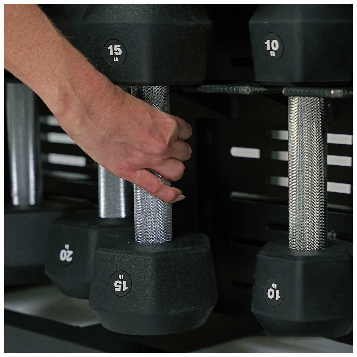 Centr Fusion Bench With Dumbbell Storage