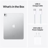 iPad Pro 13 Inch Wi-Fi 1TB Standard Glass Silver M4