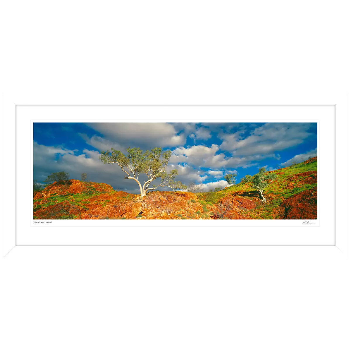 Ken Duncan 30 Snappy Gums, Marble Bar, WA Framed Print White