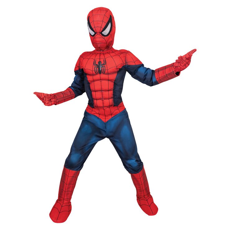 Boys Licensed Costumes