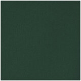 Kirkland Signature Women's Travel Pant Green