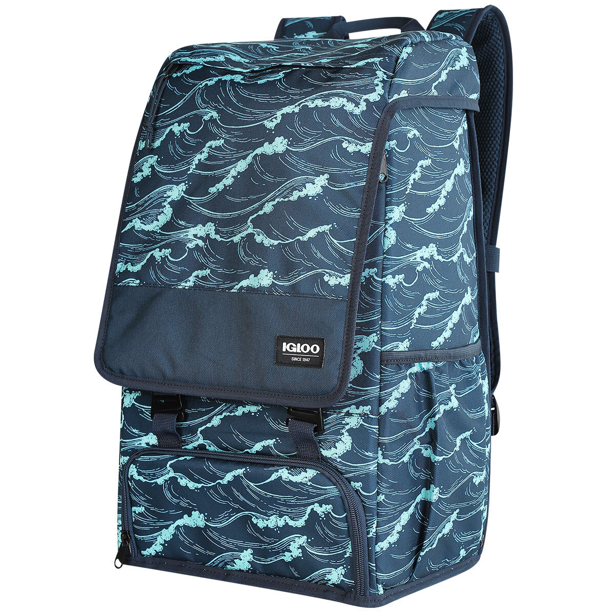 Igloo Daytripper Backpack