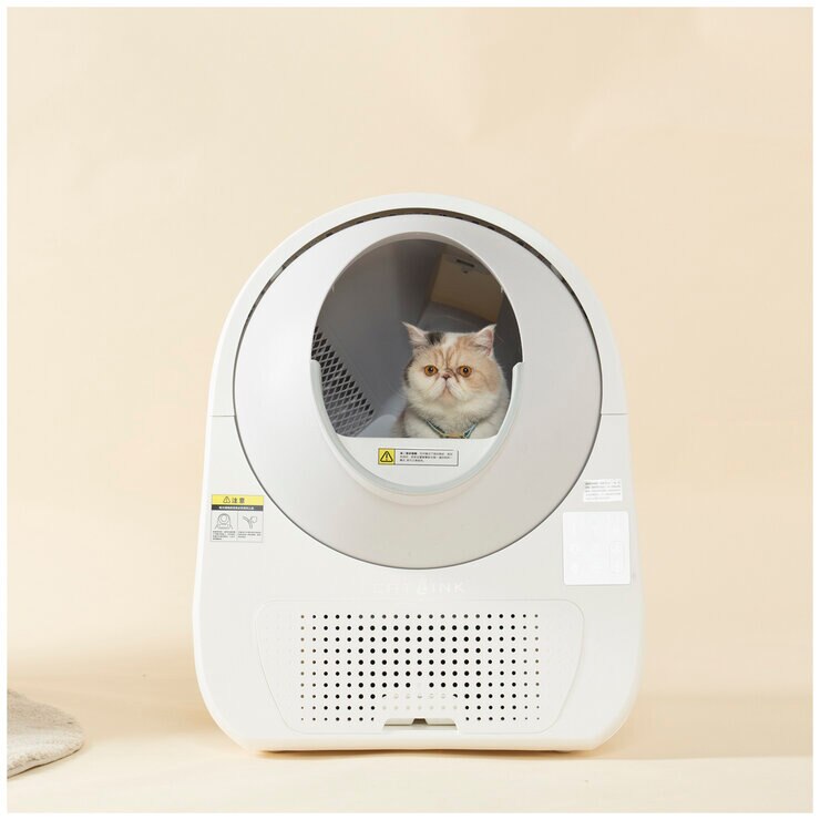 automatic kitty litter box australia
