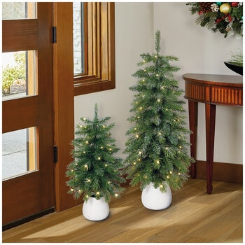Glitter Potted Trees With Twinkle Lights Set Of 2