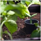 Keter Urban Bloomer 2 Pack
