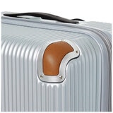 Swiss Military Carry On Luggage Chrome Silver