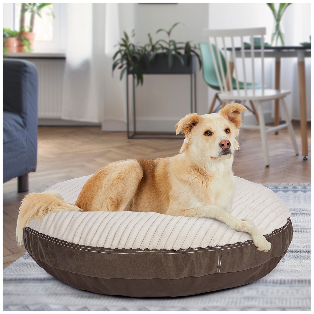 Kirkland Signature Dog Bed Canoga Faux Leather Costco Australia
