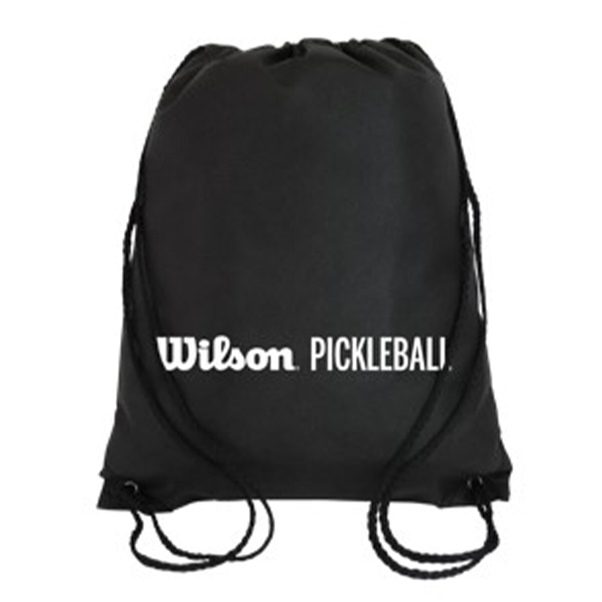 Wilson Pickleball Kit