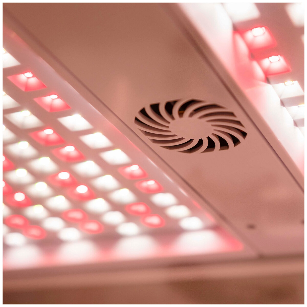 Costco grow deals lights