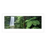 Ken Duncan Millaa Millaa Falls QLD White Framed Print 140 x 75 cm