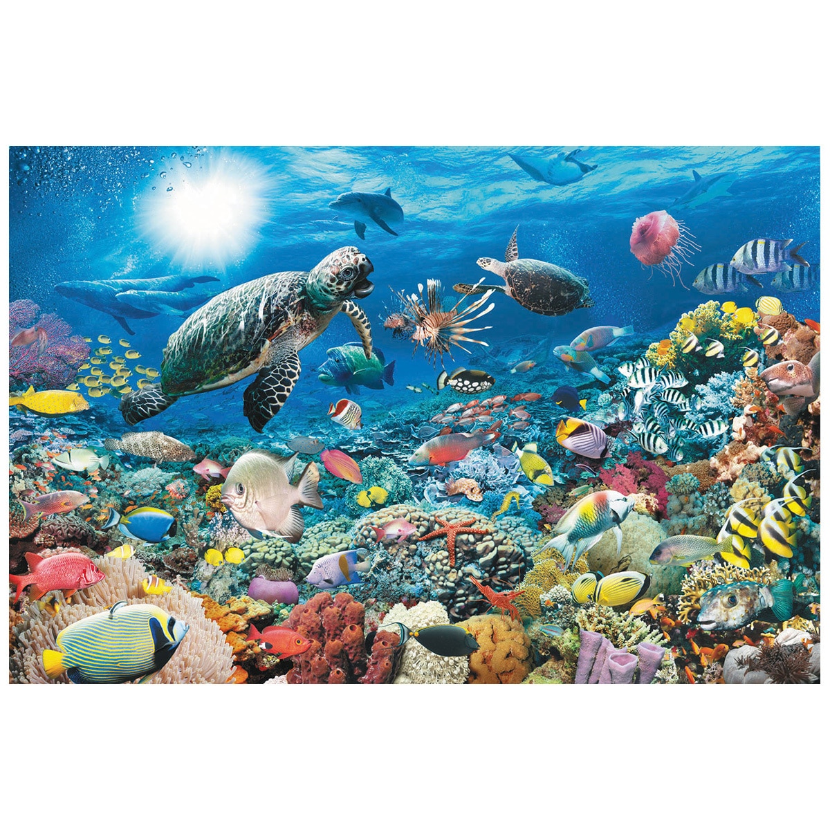 Rburg - Beneath the Sea Puzzle 5000pc