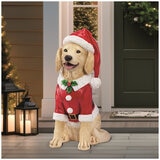 Holiday Dog Greeter