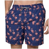 Coast Men's Swim Short - Pink Flamingo