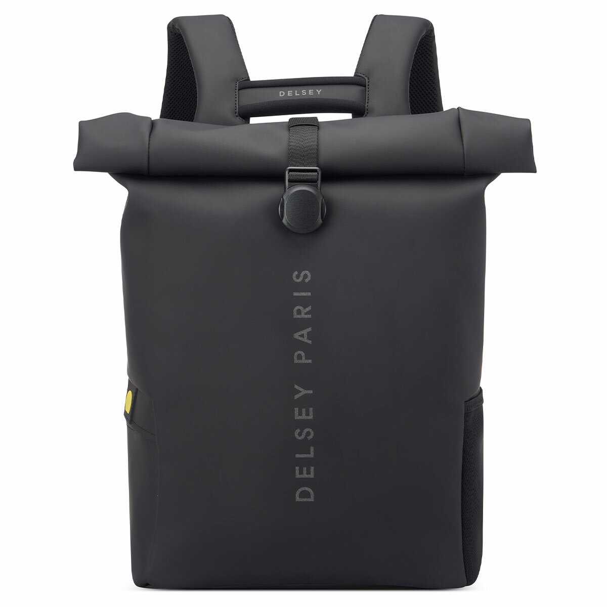 Delsey Turenne Rolltop Backpack