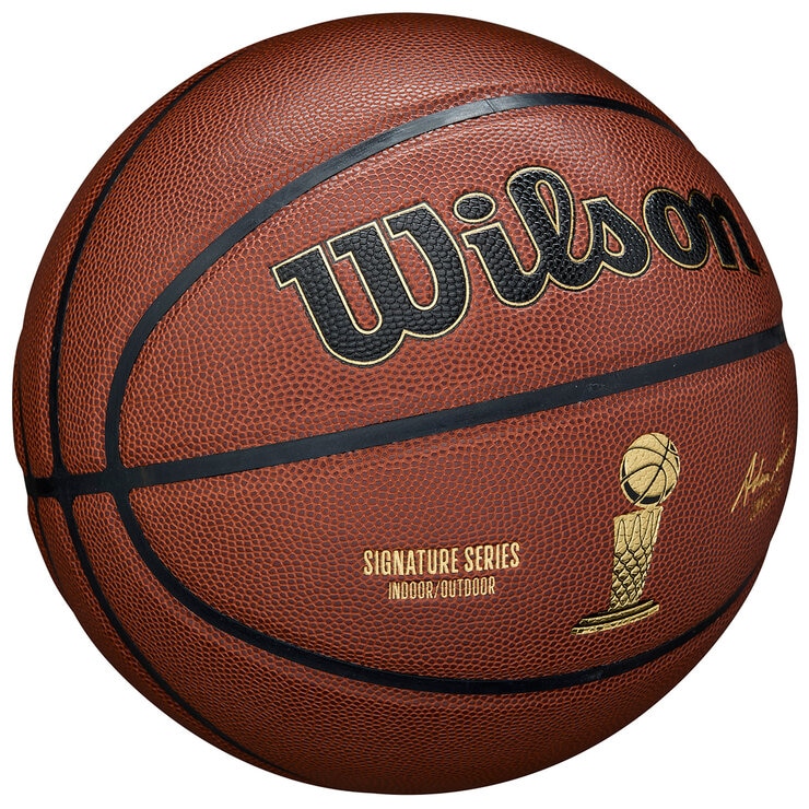 Wilson NBA Alliance Signature Basketball