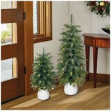 Glitter Potted Trees With Twinkle Lights Set Of 2