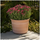 Forum Planters 3 Pack