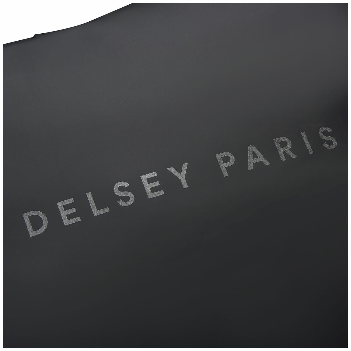 Delsey Turenne Rolltop Backpack