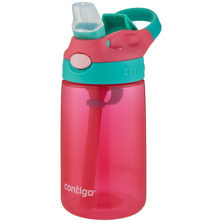 gizmo hot water bottle